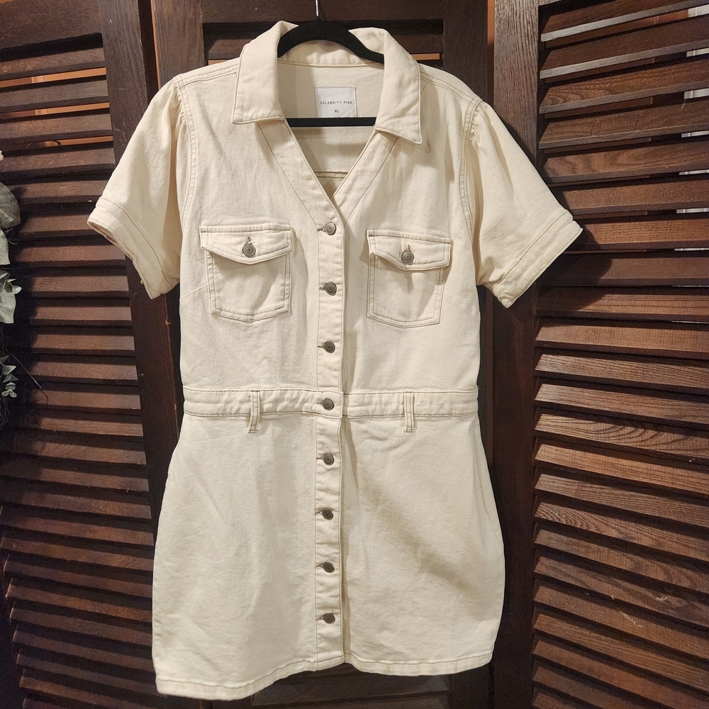 Celebrity Pink Cream Button-Up Dress